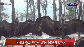 শকুন রক্ষা ও বংশ বৃদ্ধির লক্ষ্যে দিনাজপুরে জাতীয় উদ্যানে গড়ে তোলা হয়েছে  পরিচর্যা কেন্দ্র 11Feb.21