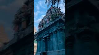 😍Daily Kovil ku Poganumnu Thonuchi Macha💫 #devikapuram #dhanushdialogue#temple #kovilfunction #trend