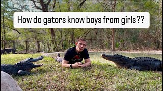 How Do Gators Know Boys From Girls
