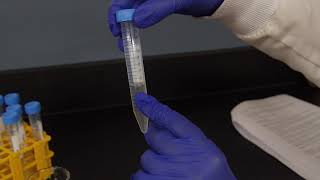 Water Quality Testing Video