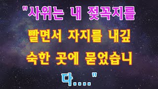 분홍색