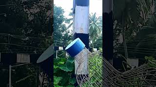 ഒരു പൂച്ചയുടെ രോദനം #comedy #malayalmcomedy #funny