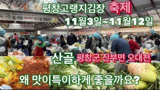 산골평창고랭지김장축제11월3일~12일. 벌써 사람들이엄청많아요. 평창군진부면 오대천에서 합니다.