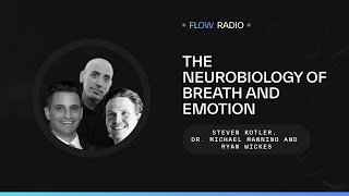 Afterthoughts: The Neurobiology of Breath and Emotion