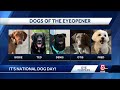 Meet the pups of the EyeOpener on National Dog Day!