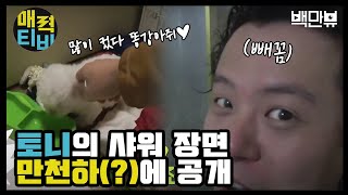 AttractionTV [토니TV] 갖고 싶었던 우리의 오빠, 토니안 샤워 장면 이제는 공개! 160328 EP.4