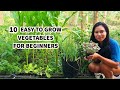 Top 10 Beginner-Friendly Vegetables: Easy Growing Guide for New Gardeners