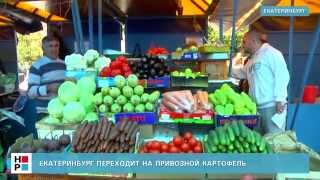 Екатеринбург переходит на привозной картофель