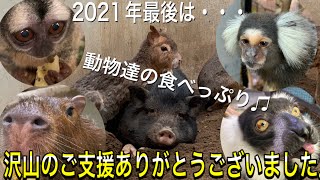 動物達の気持ちいい食べっぷりです♫２０２１年も沢山のご支援ありがとうございました！！ Thank you a lot of presents for animals in 2021