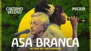 Asa Branca - Caetano Veloso e Majur Ao Vivo no Circo Voador | Lançamento do App 342 Amazônia