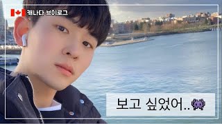 🇨🇦캐나다 밴쿠버 대학 브이로그6🇨🇦ㅣVancouver VCC Korean Vlog