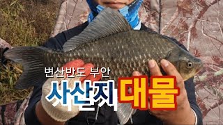 변산반도 부안 사산지 대물 만나다