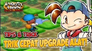 CARA CEPAT UPGRADE ALAT! - Harvest Moon: Back to Nature Tips & Trick