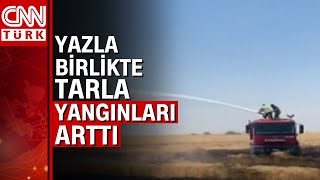 Mardin ve Siirt'te 115 dönüm ekili arazi küle döndü