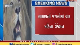 Gir Somnath: સિંહદર્શન માટે આજે છેલ્લો દિવસ, આવતીકાલથી સાવજોનું વેકેશન