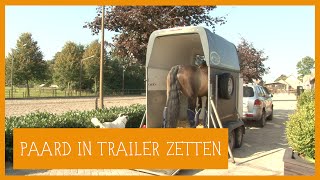 Paard in trailer zetten | PaardenpraatTV