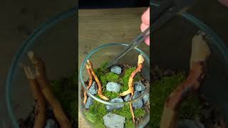 Turning a Drinking Glass Into a Mini Ecosystem!