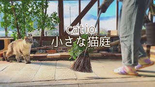 猫庭catio 朝の掃除と猫の朝活。Cats feel good when you clean Catio