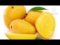 रत्ना आंबा हापूस ची सर्वात सरस हायब्रिड व्हरायटी best hybrid mango variety of alphonso for farming