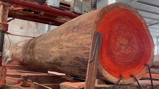 Modern Automatic Wood Cutting Sawmill Machines || Products Red Incense Wood Sawn In The Factory