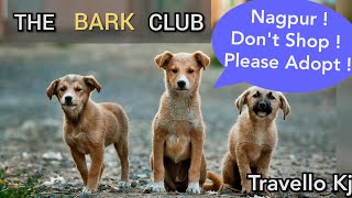 Injured ? Helpless Animal ? 🐾| The Bark Club , Nagpur (NGO)