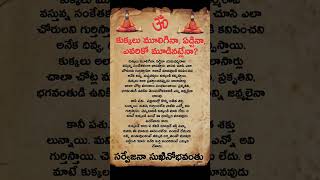 #brahmamgarikalagnanam #brahmamgarimatam #brahmamgaru #viralreels #viral #viralvideos #morning  #god