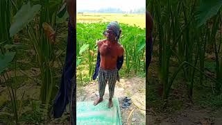 এই পাওয়ার #viral2024 #funny #viralvideo #comedy