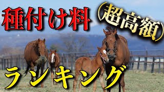 【2021年最新】 種牡馬！種付け料ランキング