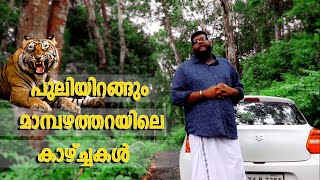 കൊല്ലം ജില്ലയിലെ മാമ്പഴത്തറയിലെ ഒരു ദിവസം