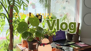 휴일 아무것도 아닌 Vlog 하루종일 보고서 작성 #일못하는사람 #집에서일하기 #보고서 #houseplant #plants #실내가드닝