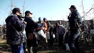 130108果樹研究会～1453高密植新わい化栽培整枝剪定交流会