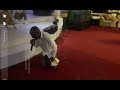 ARIPANO REFIX FT Minister Takesure Zamah Ncube, Pstr Ellard & Sharon Cherayi, Nyasha Mutonhoyi