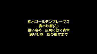 【NPB、独立リーグ混在応援歌メドレー】セレクト1-9 6月号