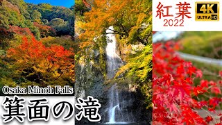 【4K JAPAN】大阪 箕面の滝（Osaka Minoh Falls）｜紅葉 2022｜11月中旬〜下旬が見頃｜紅葉を観に行こう