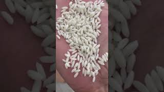 45 nice kya hota rice mill full details raw rice