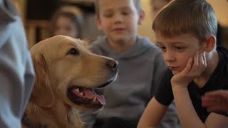 New therapy dog brings comfort and calm to Allendale students