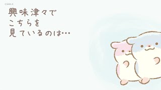 だいじょーぶさんと。#3  サンエックスゆ～るゆるシアター