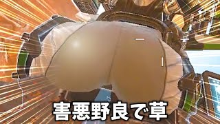 害悪野良に話しかけ続けたら奇跡起きたwwｗ【APEX】