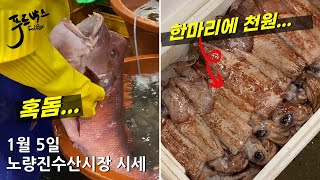 [최신시세정보] 갈고리흰오징어가  한마리에  천원 ...!? 이번주는 어떤 수산물이 좋을까요?   1월 5일 노량진 수산시장