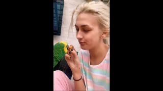 Parrot Proceeded to Imitate Owner Sounds as He Eats a Snack