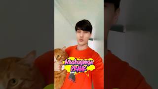 Mushugimga PRANK‼️😂#kpop cat #prank #korea