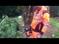 parkerbrand 25cc chainsaw