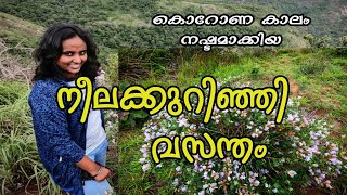 പുഷ്‌പകണ്ടം  || pushpakandam || നീലക്കുറിഞ്ഞി || Ramakkalmedu  || അണക്കരമെട്‌ || Munnar neelakurinji