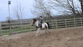 Jumping bareback, with a neckrope \u0026 completely tackless :)