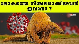 ലോകത്തെ നിശ്ചലമാക്കിയവൻ ഇവനോ ? | വീഡിയോ കാണാം