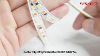 New products SMD2835 CCT double color led strip light 168led/m with 3 years warranty in 2022 #lights