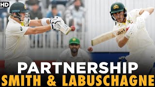Steve Smith & Marnus Labuschagne Partnership | Pakistan vs Australia | 1st Test Day 4 | PCB | MM2L