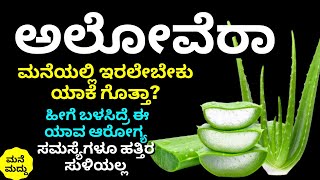 ಈ ಗಿಡ ಮನೆಲಿ ಇರಲೇಬೇಕು ಈ ಎಲ್ಲಾ ಆರೋಗ್ಯ ಸಮಸ್ಯೆಗಳಿಗೂ ಬೆಸ್ಟ್ ಇದು | Amazing Top Health Benefits of Aloevera