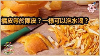 橘皮等於陳皮？一樣可以泡水喝？| 分享健康新闻