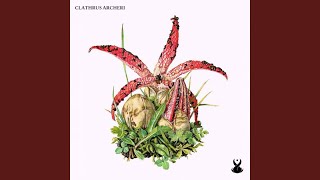 Clathrus Archeri